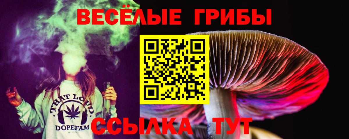 Галлюциногенные грибы Psilocybe  Псилоцибиновые грибы Cubensis  Владивосток  Вход с VPN 